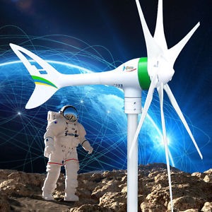 gallery/1kw wind turbine $650